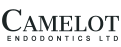 Link to Camelot Endodontics home page